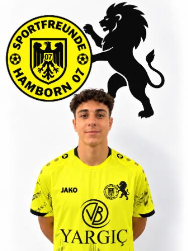 Karam Khamees