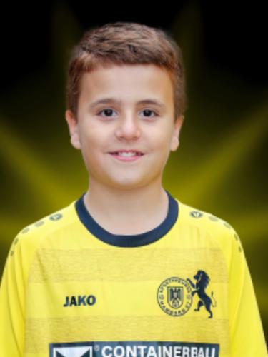 Hividar Narmo